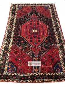 Persian-Hamadan Persian Hamadan Rug Cleaning
