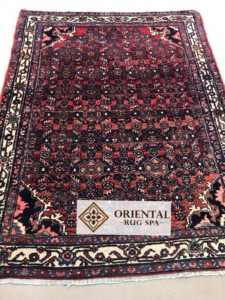 Persian Hamadan Persian Rug Cleaning