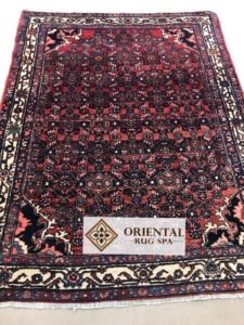 Persian Hamadan Persian Rug Cleaning